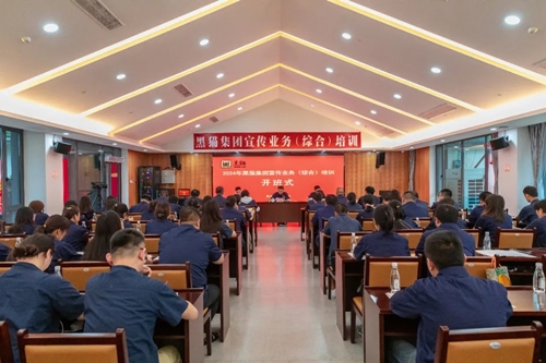 黑猫集团举办2024年宣传业务(综合)培训
